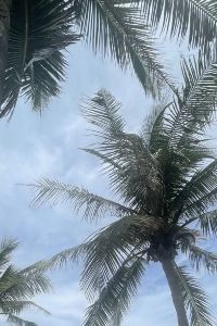 Suki diao 富國島拉維朗達度假村美憬閣飯店優惠