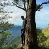 Avatar 2