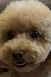 Tomokc 赤羽ホリックホテル クーポン