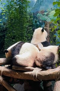 Q25 高雄行旅優惠