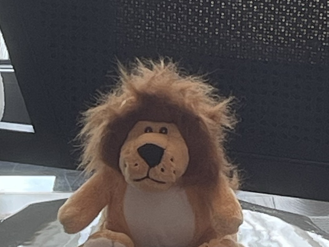 條條大路通羅馬小姐