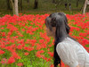 수 몬