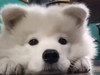 Hello~