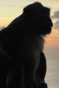 Tbdubendo 內蘇託伍倫穆魯公寓優惠