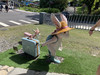ふぉるもさ