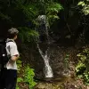 sm_jarvis