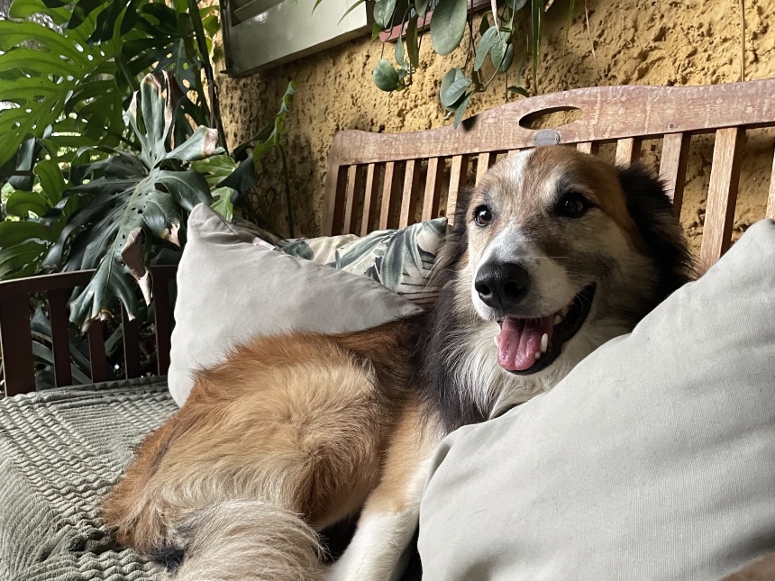 Manuel Lancharro Muñoz