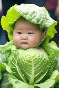 Teresasasa 메트로호텔 쿠폰