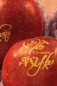 Christine  馬六甲高尚度假飯店優惠