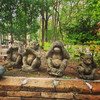 Jibpita