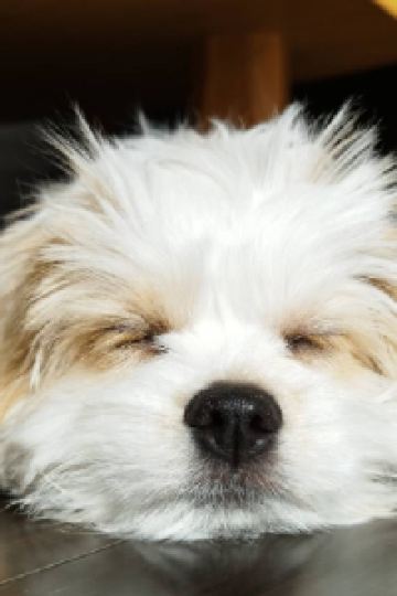 Sakaiderz クインテッサホテル 大垣 クーポン