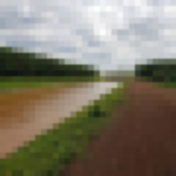 โจนาธาน993