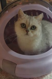 Nick8 麗楓飯店（廣州市橋地鐵站鑽滙廣場店）優惠