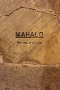 E801 静波リゾートホテル・スウィングビーチ クーポン