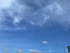 Figaroro
