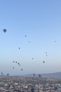 melted rice 西鉄イン高知 はりまや橋 クーポン