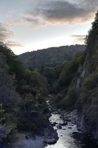 2025leemama 台北花園大酒店優惠