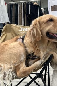 CHANG/JUYI 蘇菲小姐市中心飯店優惠