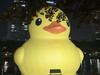 통루