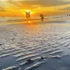 Avatar 1