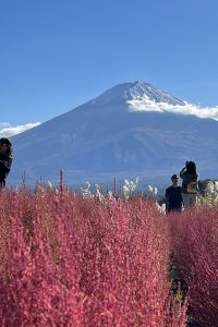 ゲスト ホテル華の湯　30種類の湯船が人気の宿 クーポン