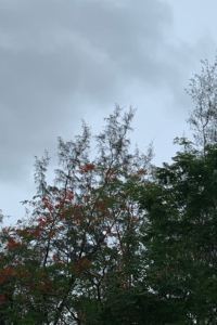Fuuu 香港極棧公寓優惠