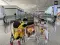 三隻小豬愛旅行three little pigs travel