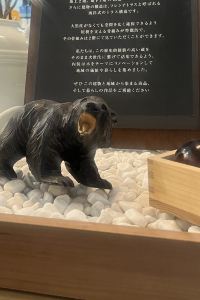 そらここ くれたけイン御殿場インター クーポン