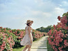 Letsgo.followme
