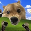 Avatar 1