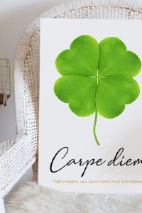 아름다운 밤 돈키모텔 쿠폰