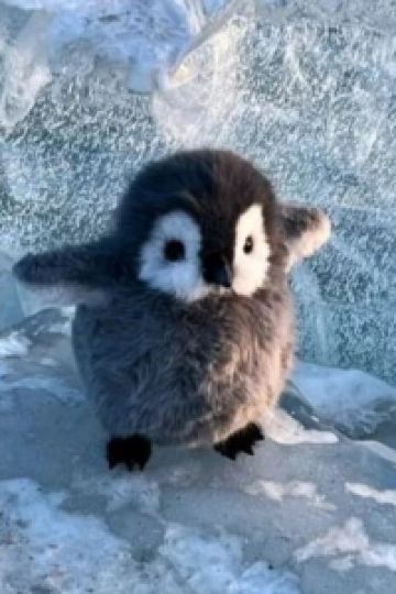 897 京王プレッソイン赤坂 クーポン