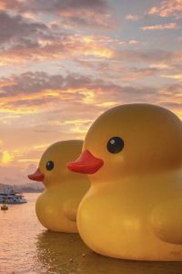 Lam Siu Yin Yvonne 特卡波湖汽車旅館和假日公園優惠