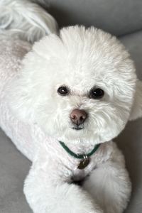 yinaina 大邱東城路東京旅館優惠