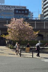 시바바 東大阪國際派精選酒店優惠