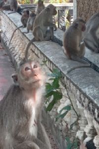 Robert J Kerr 紅門酒店@帕拉尼亞克月球漫步店優惠