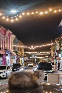 Nanasaheb 皇家普吉城市飯店優惠