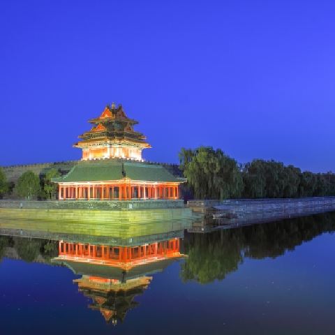 鸡同鸭讲意图