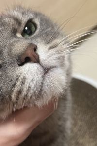 HanHee