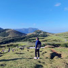 larcsky_journey
