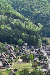 Happy Retiree 阿里薩若斯波塞爾優惠