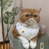 puipuialice