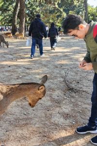 庐月 海茵娜Express飯店 名古屋伏見站前優惠