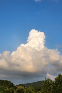 르릉 CS 호텔 쿠폰