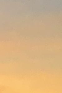 Toto. 深圳輝盛閣國際公寓優惠