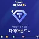 빈틈없이행복한나