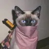 Avatar 1