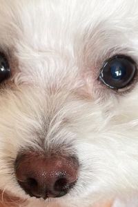 Zoe chingg 深圳南山科技園希爾頓花園飯店優惠