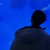 Avatar 3