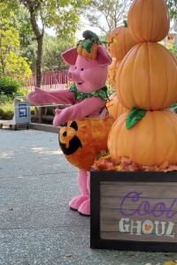 chu kwan 深圳喜悦假日酒店優惠